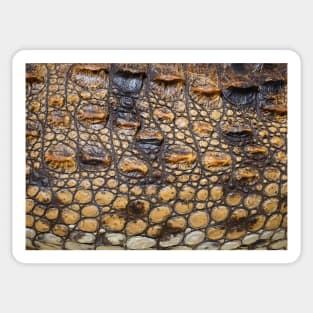 Crocodile Animal Print Sticker